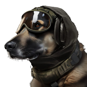 Dog wearing Silynx tactical Hearing protection headset and goggles on a white background