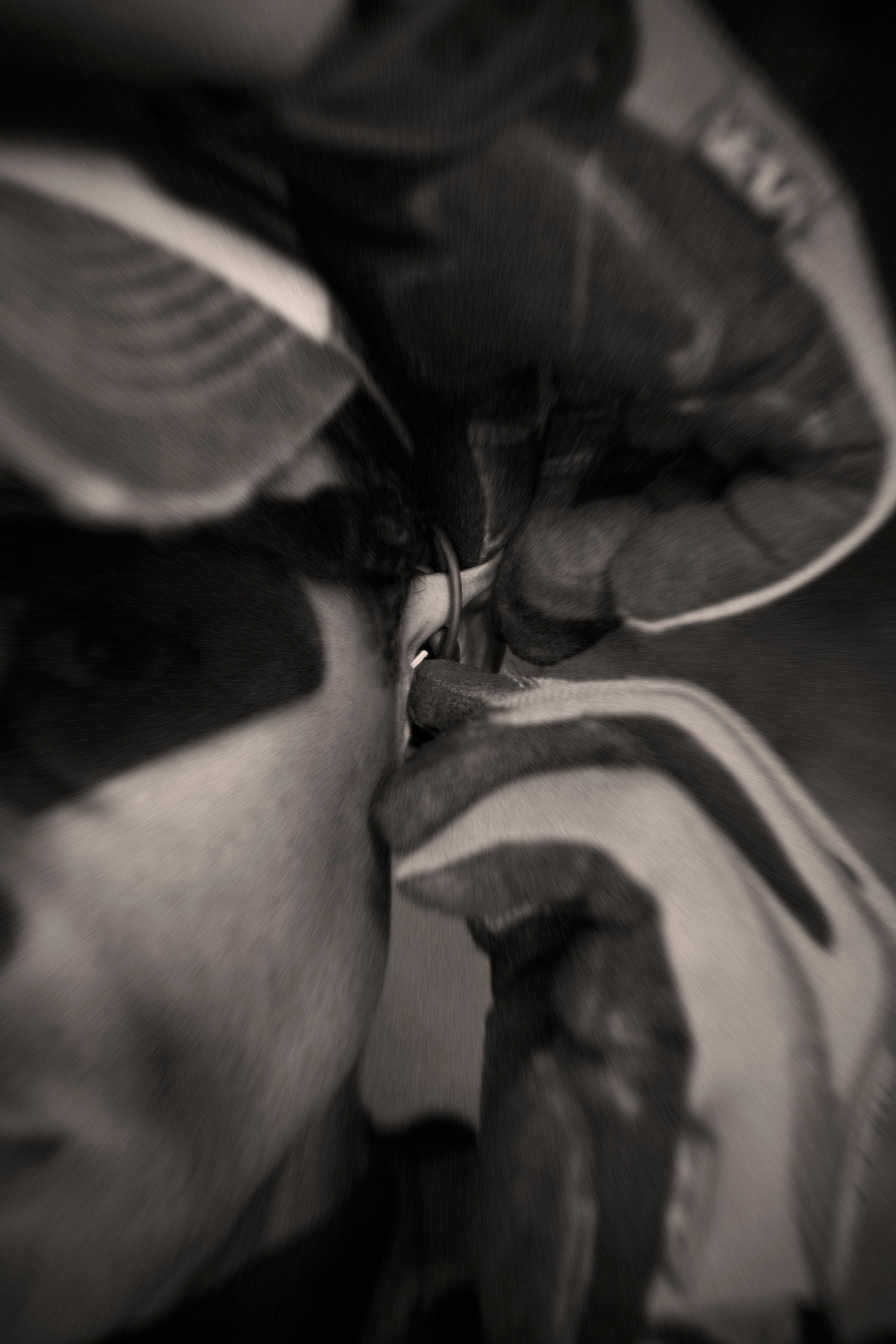 Inserting Silynx Earbuds